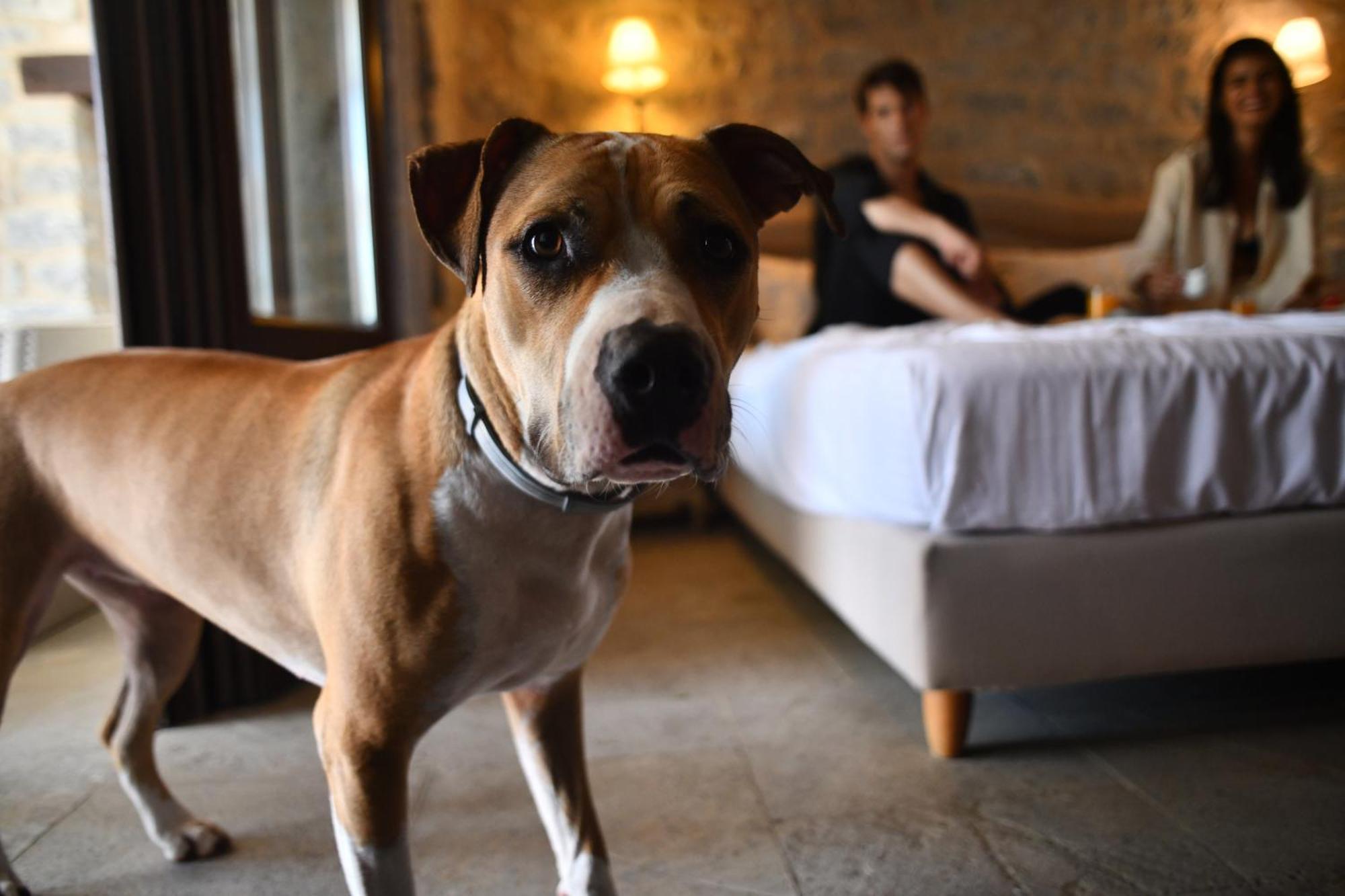Petra & Fos Boutique Hotel & Spa Oítilon Dış mekan fotoğraf